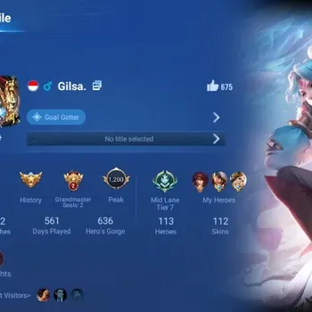 Honor of Kings Accounts Rare Skin Global|113H