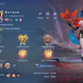Mobile Legends: Bang Bang Accounts Collector Global|Skin 173|Expert|KOF Karina,S.A.B.E.R Johnson+Saber,Lightborn