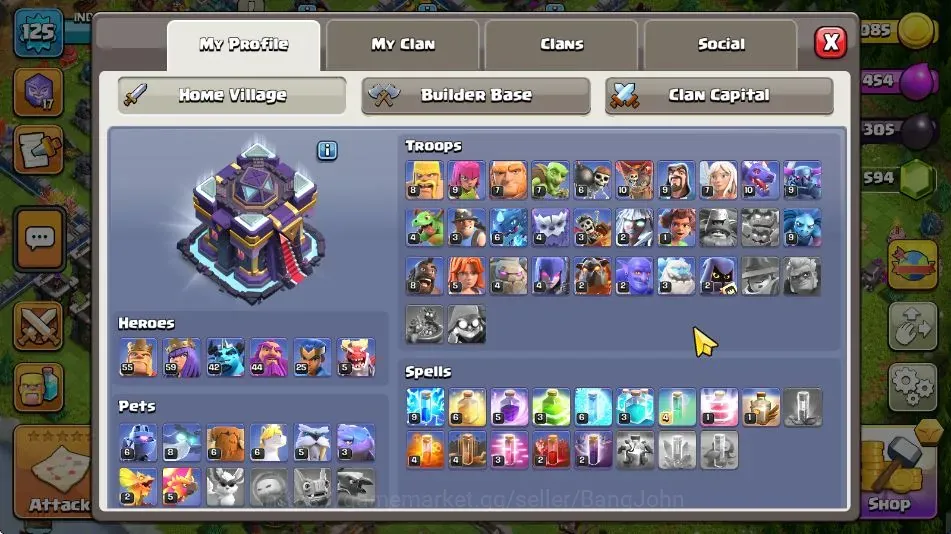 Clash of Clans Accounts High-End TH 15-BH 5|LVL 125|BK 55,AQ 59,MP 42,GW 44,RC 25,DD5|HH9|BM 2|5 Legendary & 2 Gold Skin|7k 1