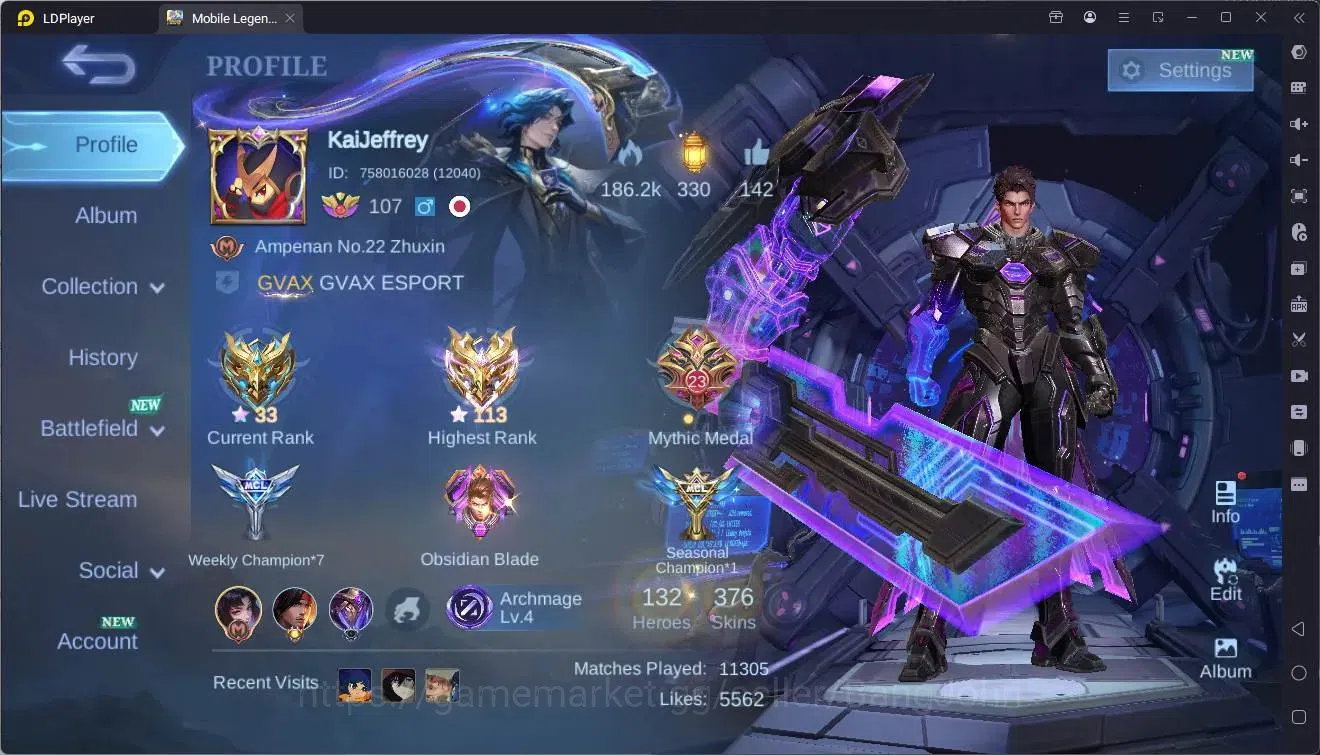 Mobile Legends: Bang Bang Accounts Global|Hero 132|Skin 376|Exalted|Legend Alu|STARWA image 19