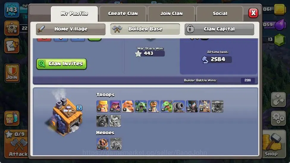 Clash of Clans Accounts Global | TH 13-BH 8 | LVL 143 | HH 7 | AQ 53 ,MP 3 image 13