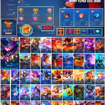 Mobile Legends: Bang Bang Collector #3689 460 Skins | Legend Miya | Collector Yu Zhong image 1