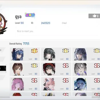 Punishing: Gray Raven Accounts End-Game ASIA|Lv.100|4 SSS|Collab Kurumi Tokisaki|[Helentine L,Liv L,Nirvatia D,Etc]+Sign|12