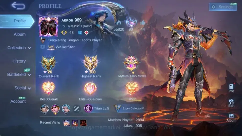 Mobile Legends: Bang Bang Accounts Global|Skin 127|Expert|Collector Natalia|Collab Va image 13