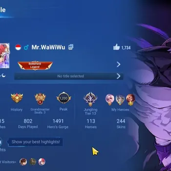 Honor of Kings Accounts Rare Skin