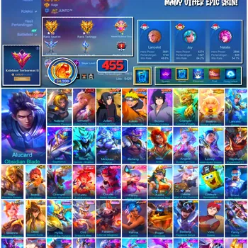 Mobile Legends: Bang Bang Accounts 🔥 #4201 🔥 💎 455 Skins 👑 Legend Alucard Obsidian Blade ⚔️ Exalted Collector II