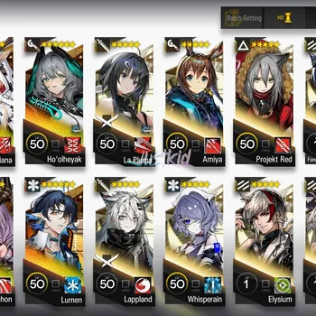 Arknights Accounts Starter ARKNIGHTS GLOBAL STARTER 8*6 , 2 LIMITED SKADI ALTER,SHU
