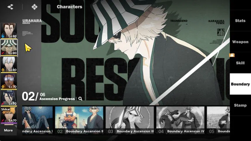 BLEACH: Soul Resonance Accounts 11