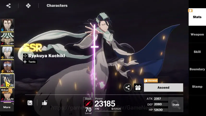 BLEACH: Soul Resonance Accounts 8