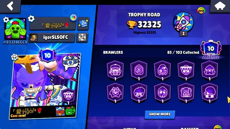 Brawl Stars Accounts Android | 32325 Thropy|85 Brawler|17 Max Hyperchar image 17