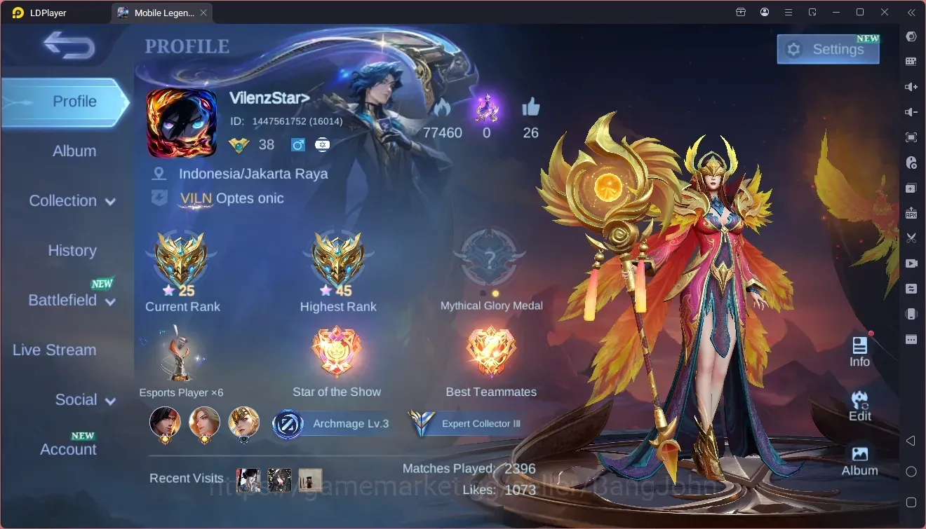 Mobile Legends: Bang Bang Accounts Collector Global|Hero 89|Skin 142|Expert|Collectior Pharsa|Luckybox Selena|Rising 1