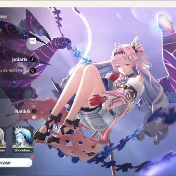 Wuthering Waves Accounts Starter SEA|UL 50|Rank 6|5 Char Limited [Aemeath,Lucy]+Sign,Denia,Chisa,Shorekeeper|Mc Female|Check