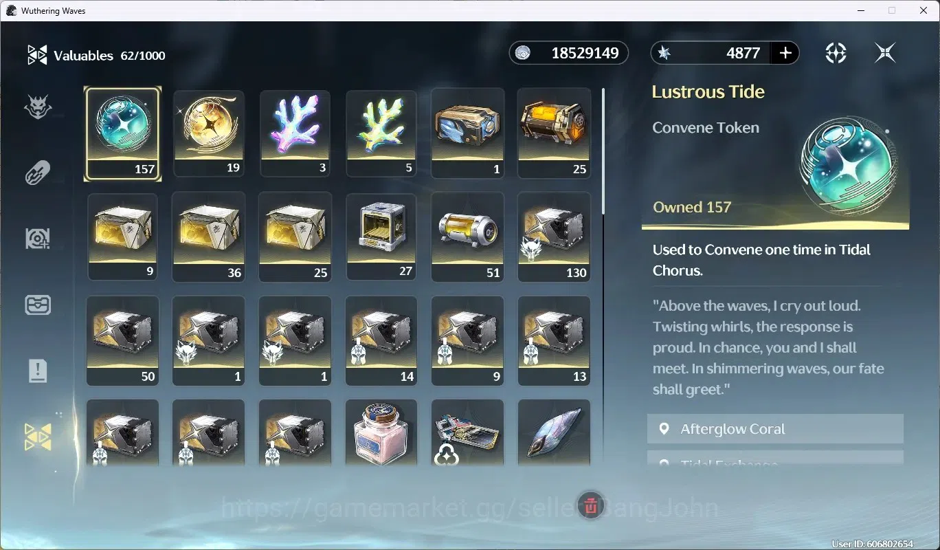 Wuthering Waves Accounts EU | UL 49 | Rank 5 | 2 Char Limit [Lucy RC5, Rebe image 10