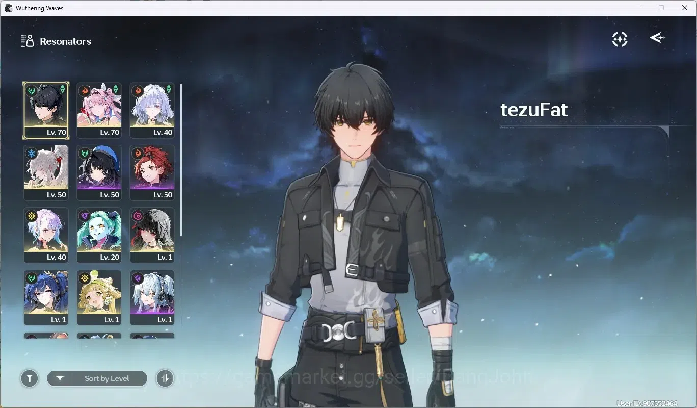 Wuthering Waves Accounts SEA|UL 51|Rank6|7 Char Limited [Denia,Hiyuki,]+Sig image 2