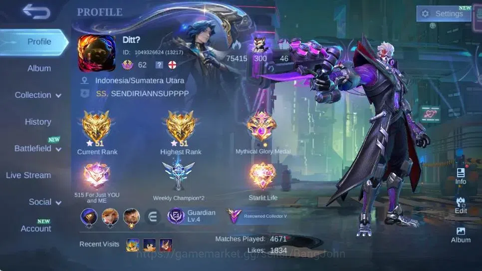 Mobile Legends: Bang Bang Accounts Global|Skin 224|Renowned|Collector Natalia|Prime B image 17