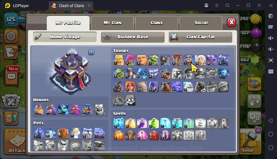 Clash of Clans Accounts High-End GLOBAL |LVL 125,TH15-HH8|BH6-BM2|BK33,AQ45,MP41,GW32,RC10|1 Legend & 4 Gold Skin| CN ON 3