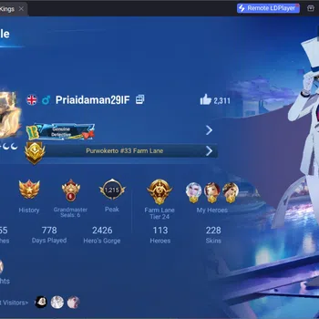 Honor of Kings Accounts Others Global|113H 228S|2 Precious Conan|2 JJK:Yuji,Gojo|5 ShanHai|1 Saint Seiya|4 Legend|kIC