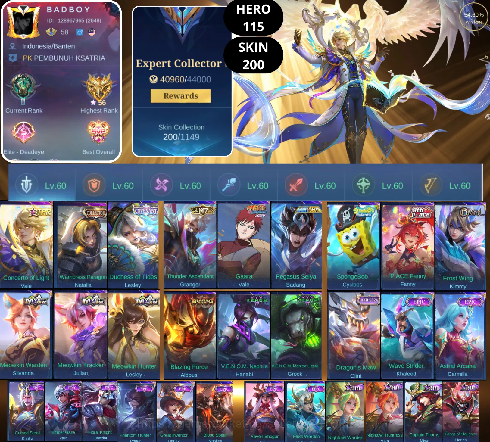 Mobile Legends: Bang Bang Accounts Smurf BEST OFFER | HERO 115 | SKIN 200 | CONCERTO OF LIGHT VALE | WARRIORESS PARAGON 1