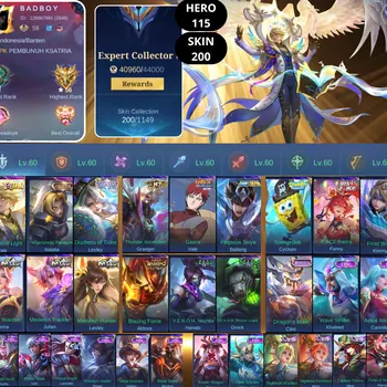 Mobile Legends: Bang Bang Accounts Smurf BEST OFFER | HERO 115 | SKIN 200 | CONCERTO OF LIGHT VALE | WARRIORESS PARAGON