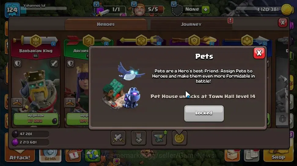 Clash of Clans Accounts LV 124|TH 13 - BH 8|Limited Skin|HH 7|BK 65,AQ 61, image 15