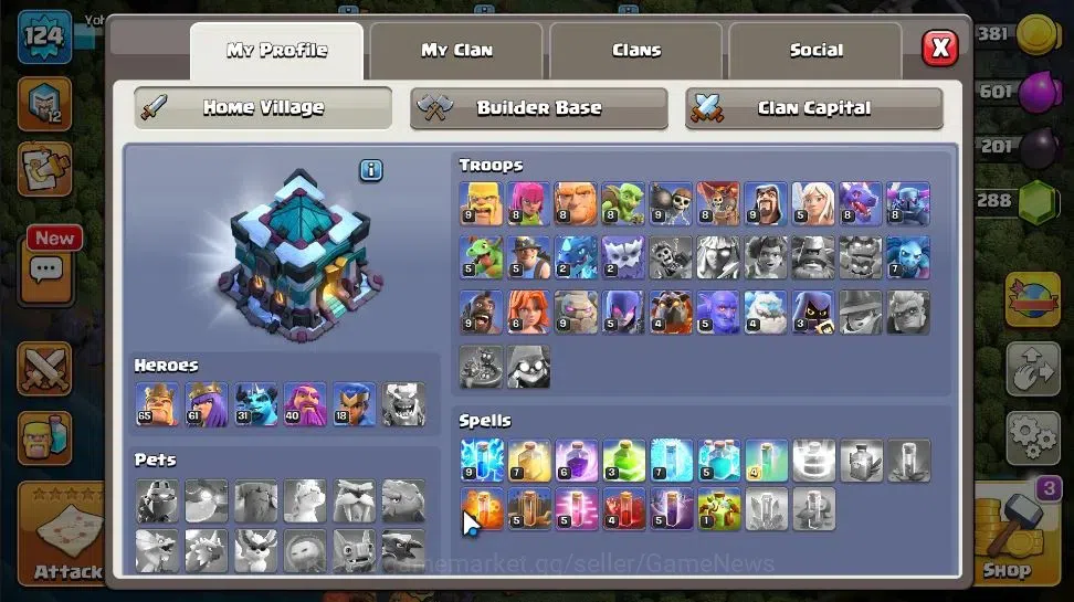 Clash of Clans Accounts LV 124|TH 13 - BH 8|Limited Skin|HH 7|BK 65,AQ 61, image 3
