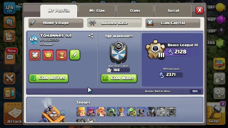 Clash of Clans Accounts LV 124|TH 13 - BH 8|Limited Skin|HH 7|BK 65,AQ 61, image 5