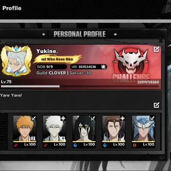 BLEACH: Soul Resonance Accounts NUVERSE SEA|Lv75|12 SSR|8