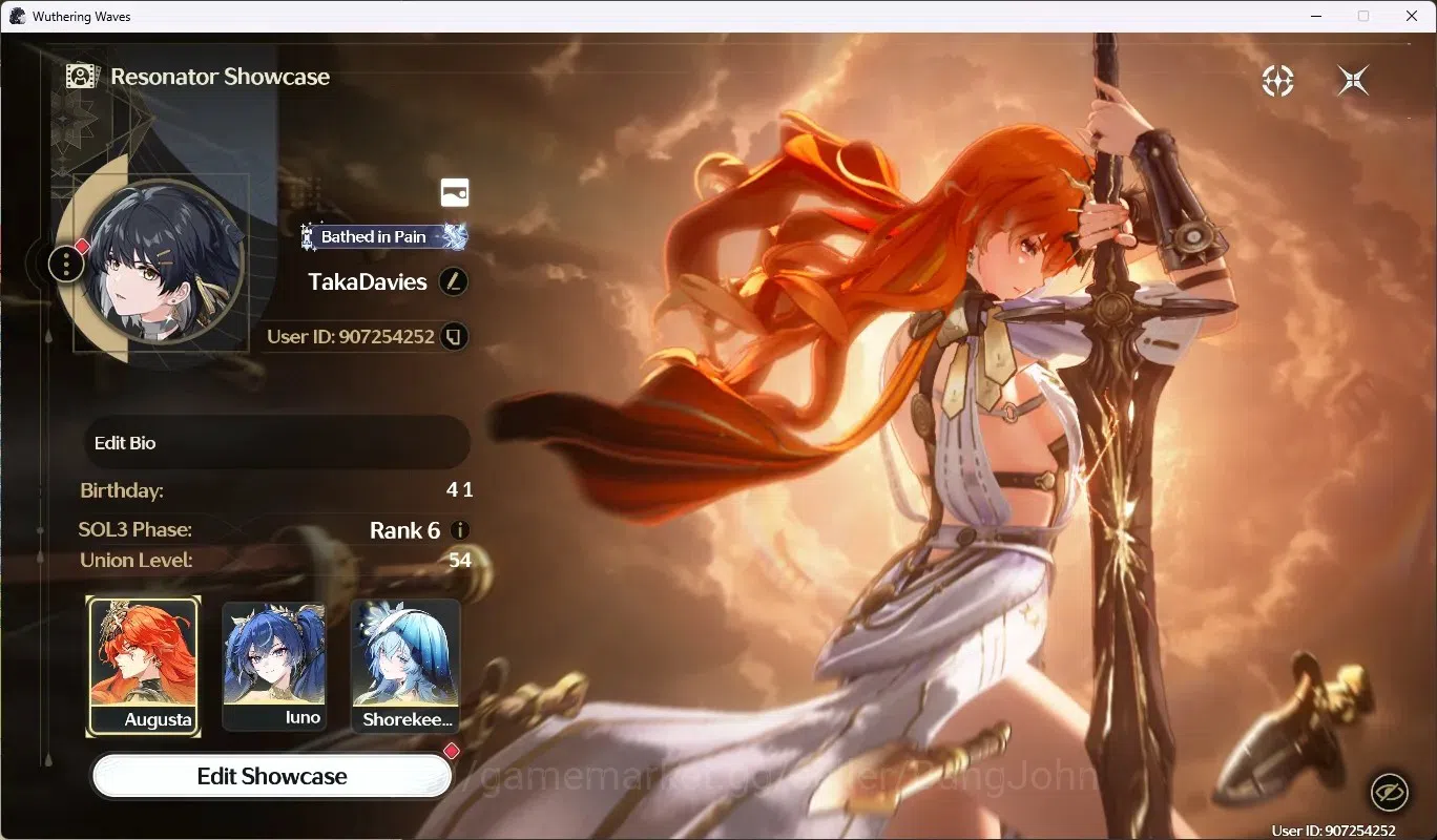 Wuthering Waves Accounts SEA|UL 54|Rank 6|4 Char Limited [Luno+Sign,Augusta image 1