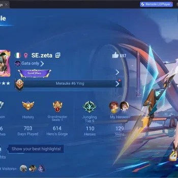 Honor of Kings Rare Skin Global | 110H 129S | Legend Consort Yu, Legend Yin image 1