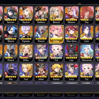 Seven Knights Re:Birth Accounts GLOBAL SEA|Lv 24|24 Legend,12
