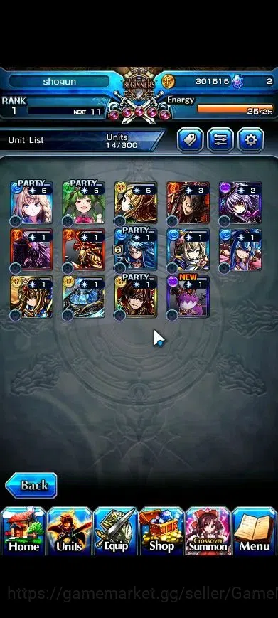 Grand Summoners Accounts Starter Global|Rank 1|Fresh Starter| 2 Ascend+1 TW | AH PolaTW, Selia Sourcescipt Witch | Lpot 16 5