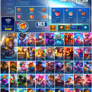 Mobile Legends: Bang Bang Accounts 🔥 #4128 🔥 💎 183 Skins 👑 Collector Natalia Warrioress Paragon ⚔️ Expert Collector III