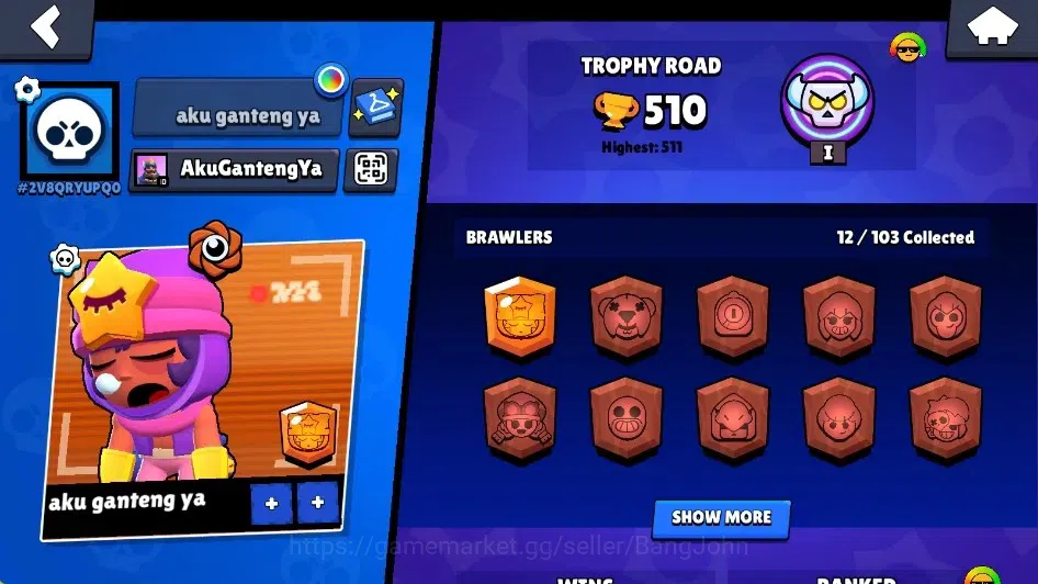 Brawl Stars Accounts Global|510 Trophy|12 Brawlers-1 Max Lv. [Sandy]|5k image 2