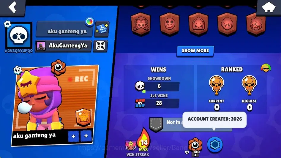 Brawl Stars Accounts Global|510 Trophy|12 Brawlers-1 Max Lv. [Sandy]|5k image 3