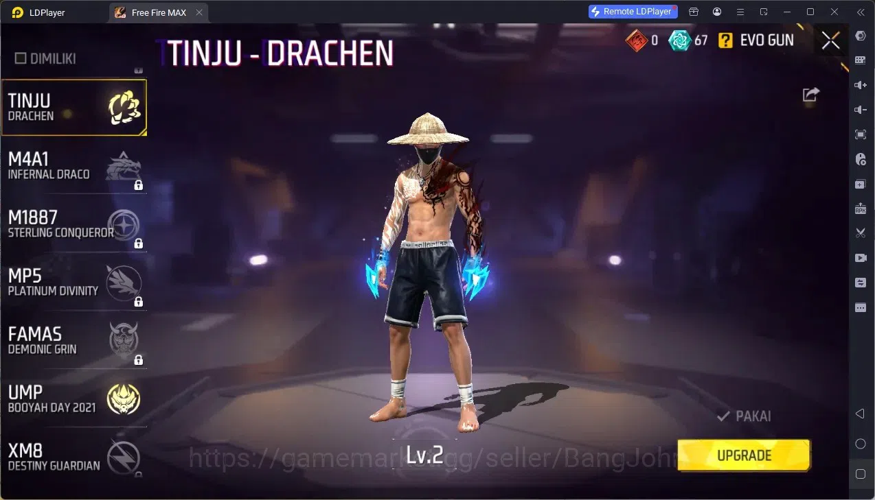 Free Fire Accounts Indonesia | Vault 1000| 2 EVO (UMP Lv3, Tinju Lv2) image 5