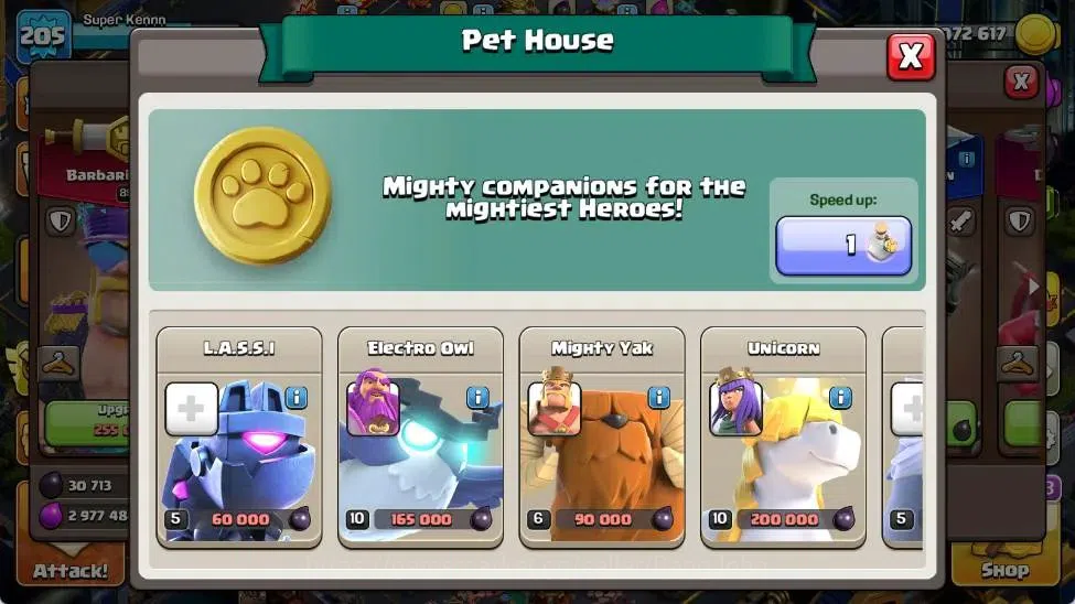 Clash of Clans Accounts Global | TH 17-BH 10|LVL 205|HH 11|AQ 100,MP 62,GW image 11