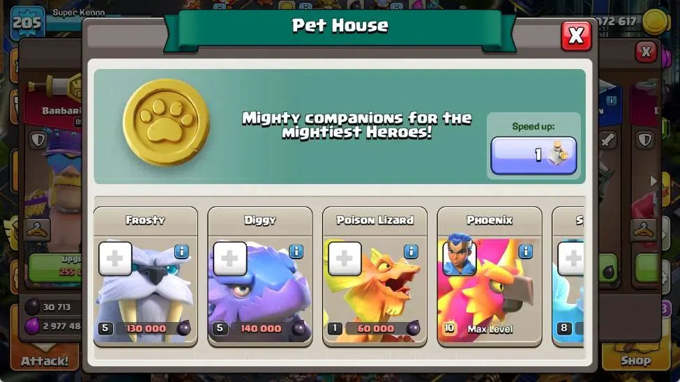 Clash of Clans Accounts Global | TH 17-BH 10|LVL 205|HH 11|AQ 100,MP 62,GW image 12