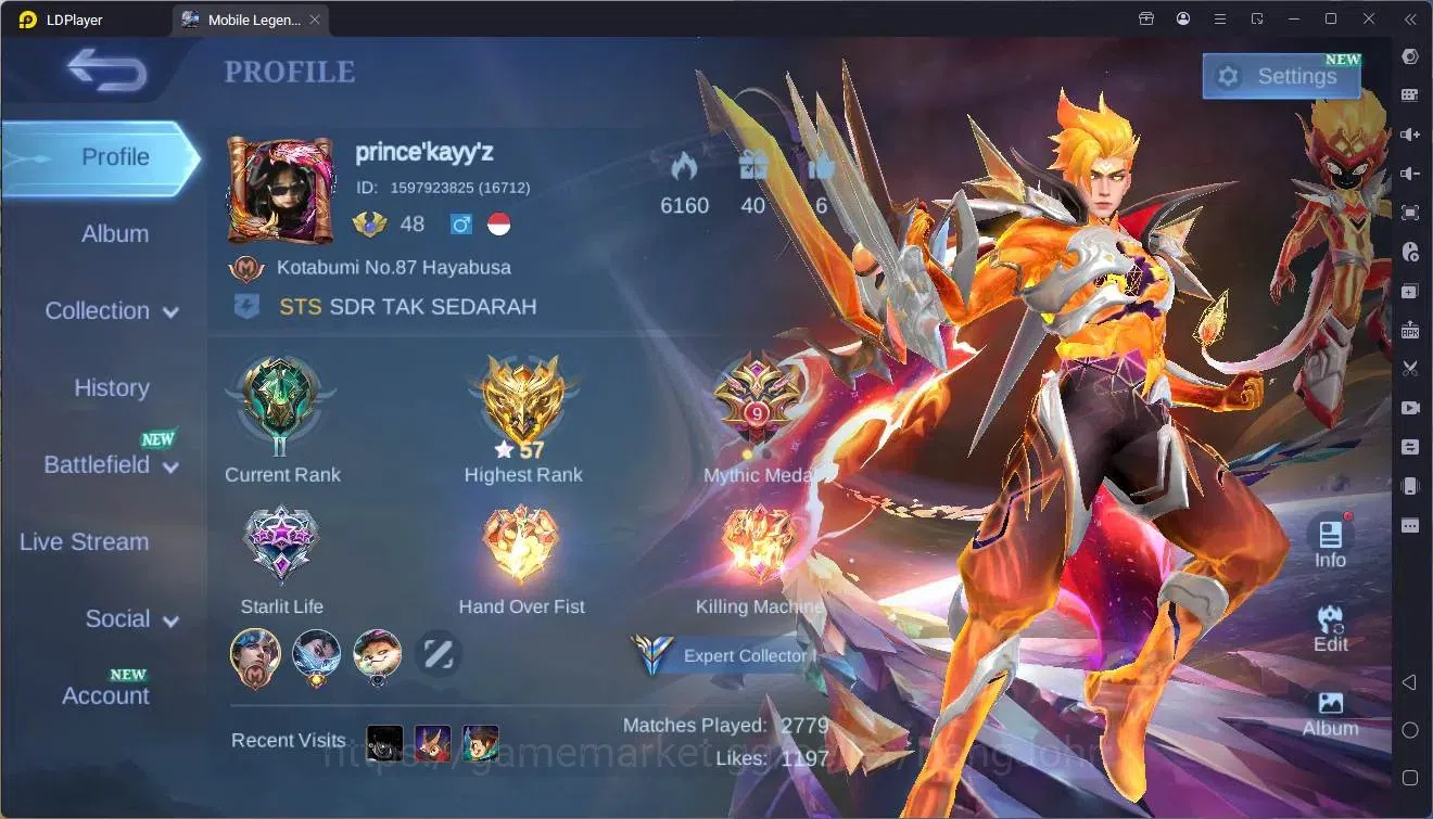 Mobile Legends: Bang Bang Accounts Collector Global|Hero 96|Skin 161|Prime Claude|Luckybox Uranus|STAR Haya|Dragon Tamer 1