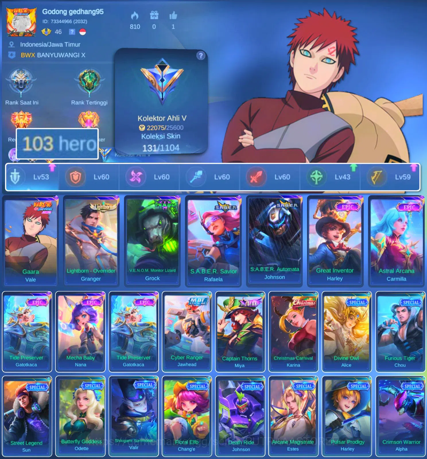 Mobile Legends: Bang Bang Accounts HERO 103 SKIN 131 | EMBLEM GOOD | VALE GARA| EPIC image 1