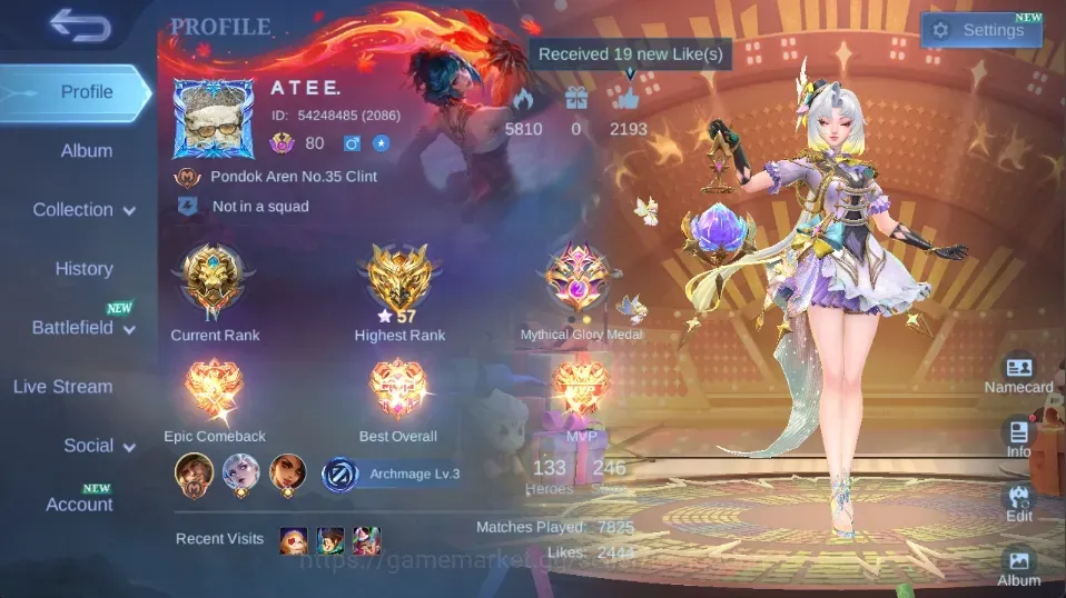 Mobile Legends: Bang Bang Accounts Others Global|246S|Expert|TF Roger,Epic Nana Irithel Grock Lunox,9thPlace Zhuxin,BZ 1