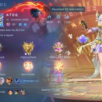 Mobile Legends: Bang Bang Accounts Others Global|246S|Expert|TF Roger,Epic Nana Irithel Grock Lunox,9thPlace Zhuxin,BZ