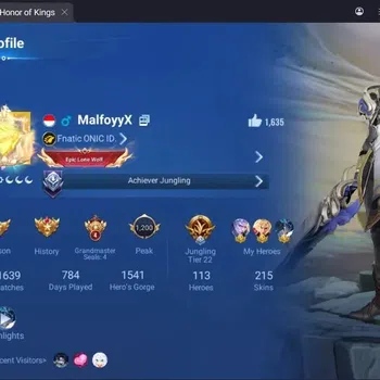 Honor of Kings Accounts Rare Skin Global|113H