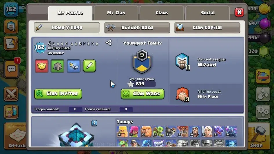 Clash of Clans Accounts LV 162|TH 13 MAX-BH 8|HH 7|Limited Skin|BK 63,AQ 7 image 3