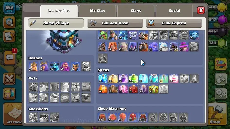 Clash of Clans Accounts LV 162|TH 13 MAX-BH 8|HH 7|Limited Skin|BK 63,AQ 7 image 4