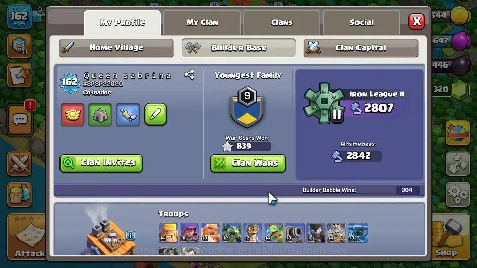 Clash of Clans Accounts LV 162|TH 13 MAX-BH 8|HH 7|Limited Skin|BK 63,AQ 7 image 5