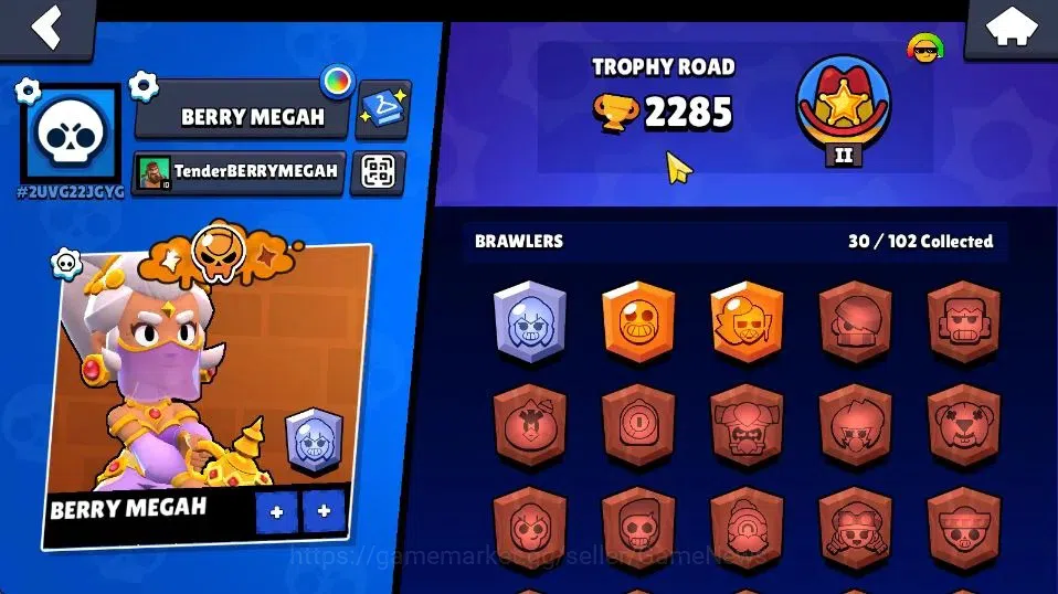 Brawl Stars Accounts 2285 Trophy|9,6K Bling|30 Brawlers 5 Max Lvl [Mr P image 14
