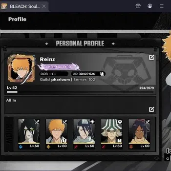 BLEACH: Soul Resonance Accounts Nuverse