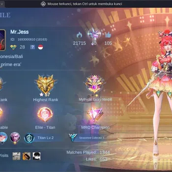 Mobile Legends: Bang Bang Collector Global |Hero 52|Skin 93|Seasoned|Luckybox Karina|M image 1
