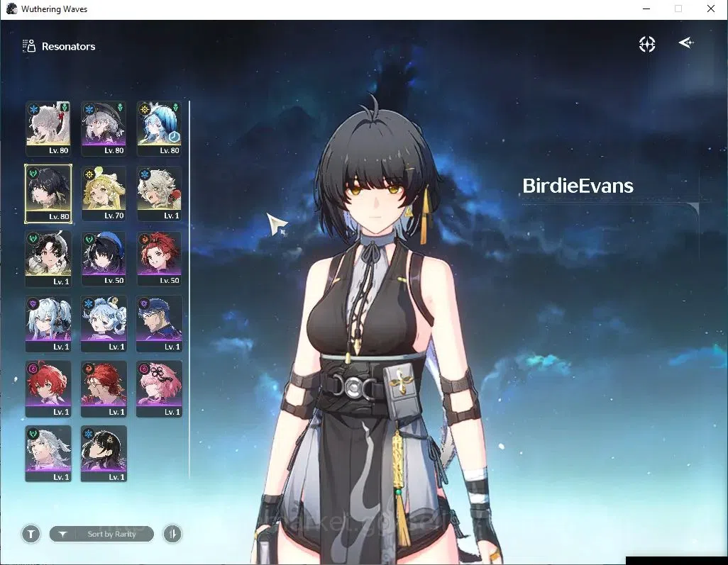 Wuthering Waves Accounts SEA | UL 53 | 1 Limited | Hiyuki R6 | DB Lvl 28 | image 2