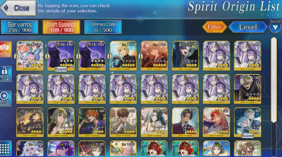 Fate-Grand Order Accounts NA Starter Lv 31 Orleans|5 SSR Servn(Space Ereshkigal NP3 + Dioscuri + Zhuge Liang + Galatea 7